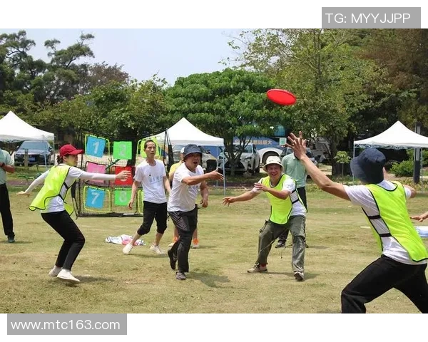 飞盘运动新风潮：深入分析上海飞盘队的战术控制与团队协作